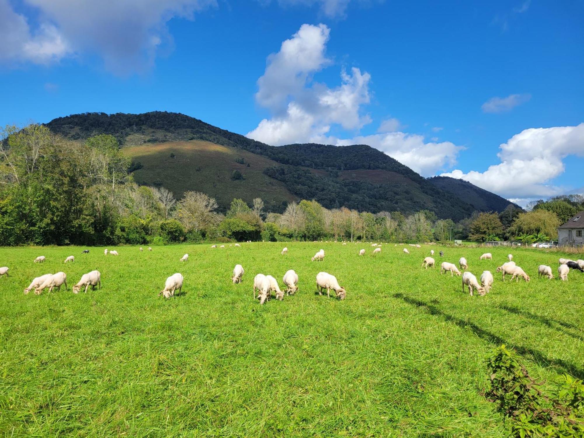 Maison De Campagne Issor ภายนอก รูปภาพ